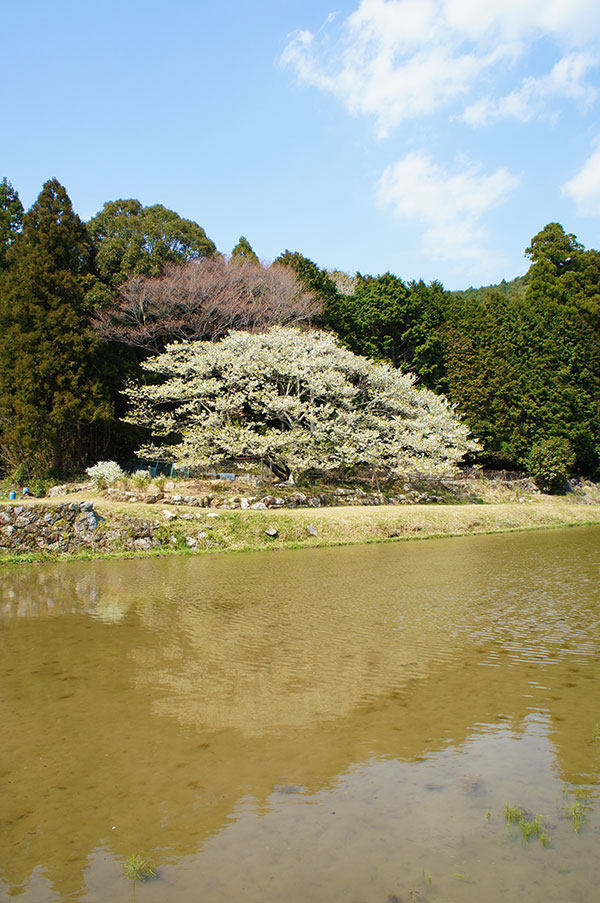 天の岩戸