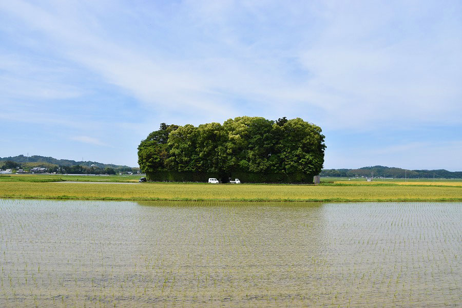 神宮