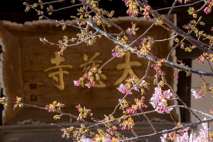 大慈寺