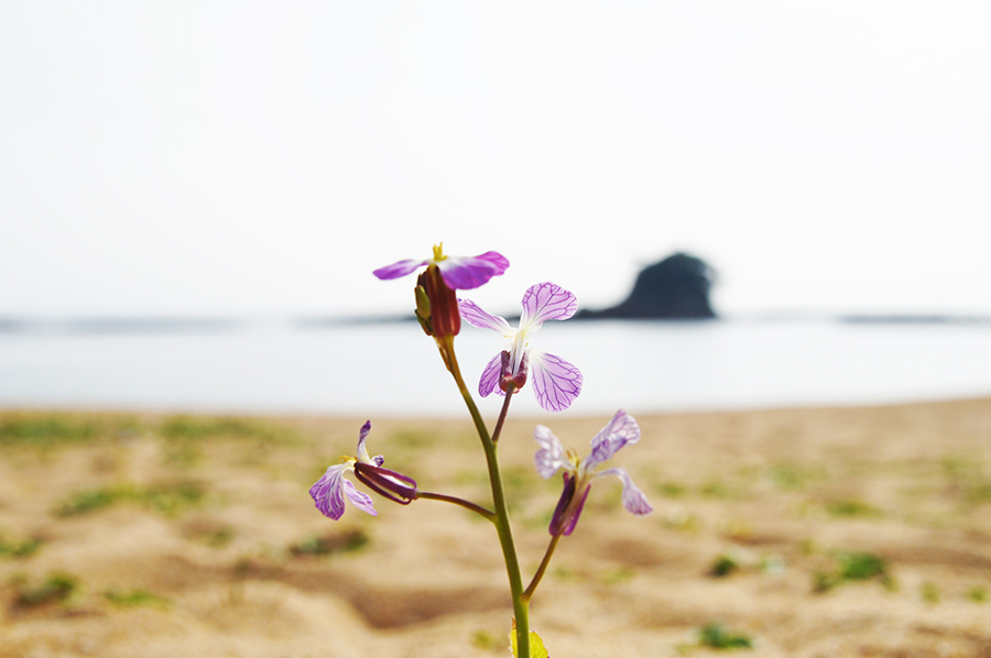 あづり浜