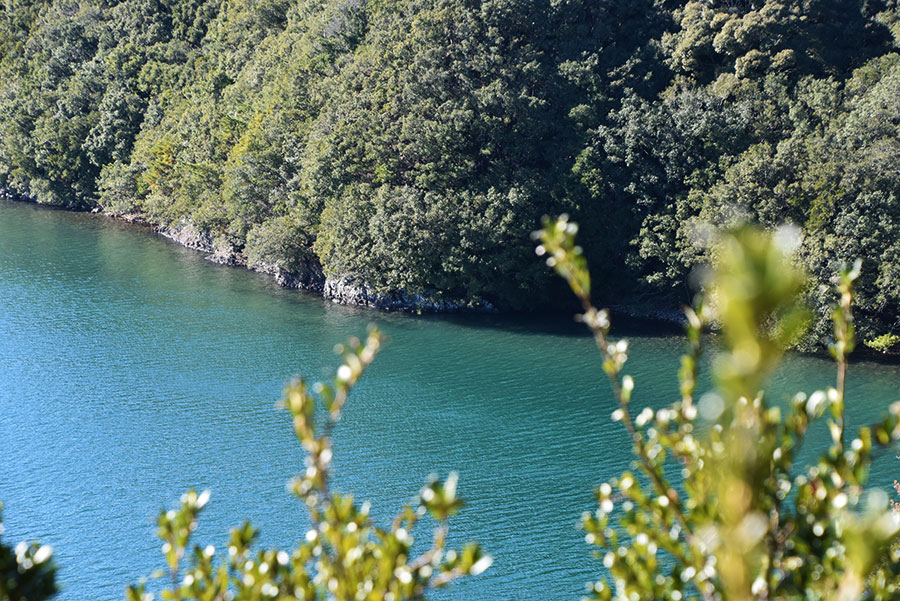 的矢湾大橋